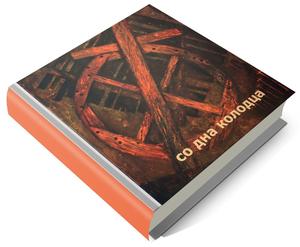 Обложка книги Со дна колодца