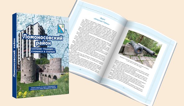 Ломоносовский район