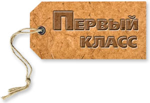 Издательство Первый класс
